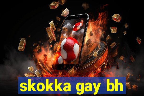 skokka gay bh